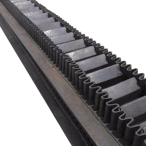 Băng tải tường bên chịu lực cao mới và tốc độ điều chỉnh được sử dụng để vận chuyển cát - Product Image 6