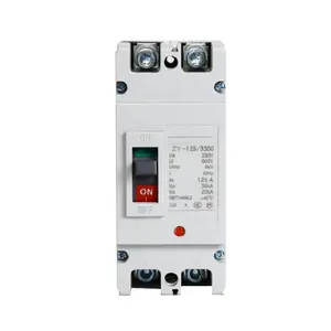 ZOII ZYM1-200 Series Molded Case Circuit Breaker 125A 100A 140A 160A 180A 200A 250A Fase Tunggal Dua Kutub DC MCCB