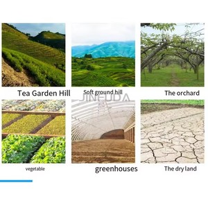 Excavadora de patatas de 20 ~ 75hp, cosechadora de patatas de una fila, máquina cosechadora de patatas con enlace de 3 puntos - Product Image 6