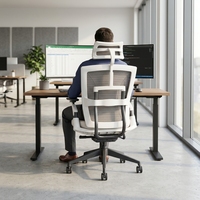 Chaise de bureau ergonomique de direction Eagleseating, moderne, blanche, pivotante, réglable, avec dossier haut en maille, pour salle d'attente