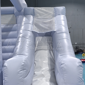 Nhà trả lại màu xanh <span class=keywords><strong>2025</strong></span> cho thuê bơm hơi PVC bên Bouncer với trượt đôi và hố bóng - Product Image 5