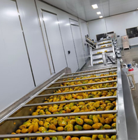 Automatische industriële productielijn voor het vullen van wortelgroentensap met 304 roestvrij staal, hoge efficiëntie, commercieel gebruik