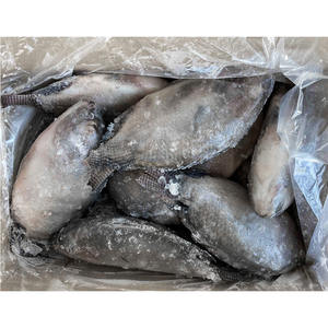 Chine Exportation Tilapia congelé En Gros 400 600 Tilapia Iqf <span class=keywords><strong>Acheter</strong></span> du <span class=keywords><strong>poisson</strong></span> Tilapia <span class=keywords><strong>vivant</strong></span> à vendre - Product Image 4