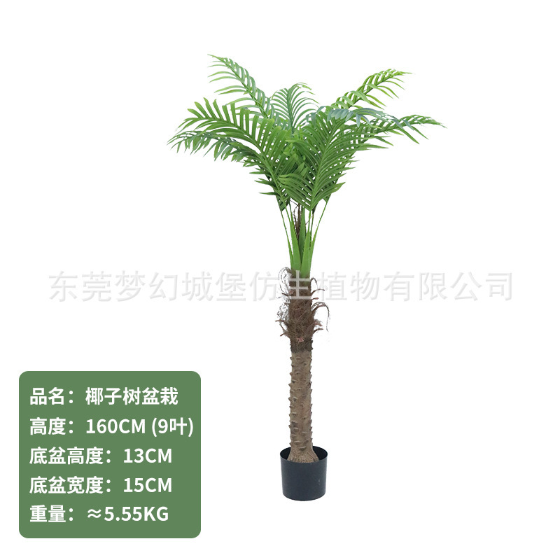 Cocotier 160CM