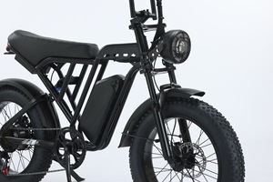 Bicicletta <span class=keywords><strong>Elettrica</strong></span> TST R002 con Pneumatici Fat da 20 Pollici, 750W 1500W, Sospensione Completa, 7 Velocità, Stile Retrò Moped, <span class=keywords><strong>Bici</strong></span> Fuoristrada - Product Image 5