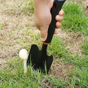 Outils de jardinage pour la plantation de fleurs, kit de culture de légumes à usage domestique, outils de culture de plantes succulentes, pelle et houe en acier inoxydable avec poignée en caoutchouc - Product Image 2