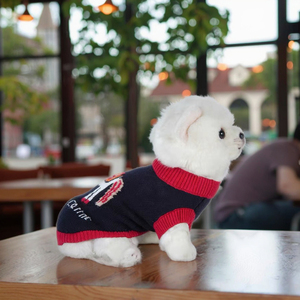 Nuovi Vestiti per Cani Bichon Frise Corgi Pomerania Cani di Piccola Taglia Gilet in Lana Autunno/Inverno-Traspirante Comodo Caldo Protettivo dal Freddo Carino - Product Image 5