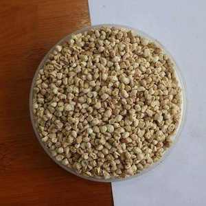 Natural Non GMO Dried Corn Cob 25kg HDPE Bags Ideal for <b>Animal</b> Bedding Feed Grade High Quality Certified <b>Product</b> from India - Product Image 4