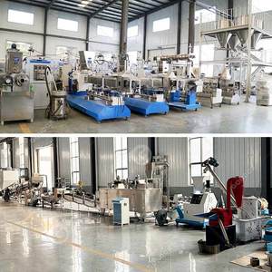 Turkey 2 Ton Pet Trade 1mm Fish Feed <b>Machine</b> Twin Screw Floating Extruder Cheese Puffs Food for Tilapia - Product Image 2