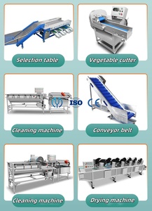Hoàn thành làm sạch cắt dưa chuột dưa chuột dây chuyền chế biến đóng hộp Máy chế biến dưa chuột với chứng nhận CE - Product Image 4