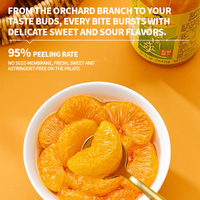 Minuman Jus Jeruk Mandarin Kaleng Buah Kaleng Pabrik Label Pribadi