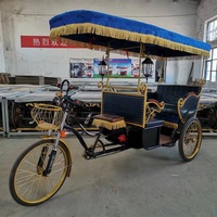 Prix de gros Tricycle touristique touristique électrique Batterie Voiture Green Power Passenger Rickshaw