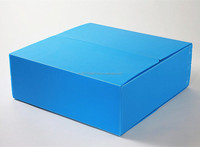 Boîte en plastique ondulé pliable et ondulé, boîte en polyacrylast, plaques en plastique creuses