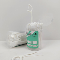 Cure-dents individuel, pièces, pour fabrication de fil dentaire à la menthe, en Nylon, en adaptée à la bômwpe