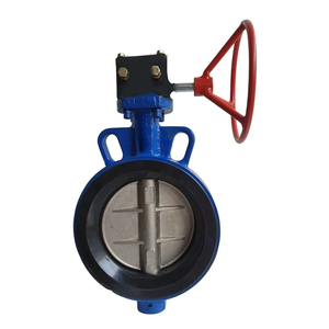 Disco de Hierro Fundido Manual para la Industria Petrolera y Tratamiento de Aire, Eje de Hierro SG SS-410, EPDM, ODM - Product Image 3