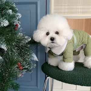 JM-Ropa siamesa de cuatro patas para perros de otoño e invierno de alta calidad con capucha Mono para perros cálido - Product Image 6