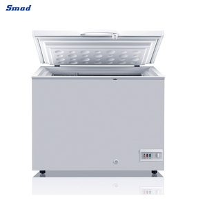 Congélateur coffre vertical commercial et domestique Smad 200L pour fabricants DSC-215E - Product Image 2