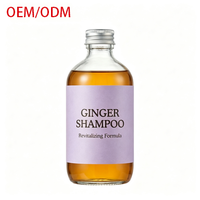 Shampoo au Gingembre Anti-Pelliculaire Soin du Cuir Chevelu Épaississant Vente en Gros Promotionnelle pour Tous Usages Quotidien Soin Capillaire Salon Hôtel OEM ODM