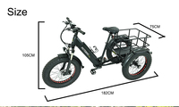 Tricycle électrique cargo à 3 roues, pneus larges de 20 pouces, 750W 500W, batterie lithium 48V, moyeu arrière, cadre en alliage d'aluminium, vente en gros