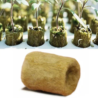 Système hydroponique compact avec bloc de semis à isolation thermique supérieure pour la culture agricole de la laitue en utilisant du coton minéral de roche