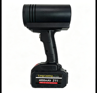Lampe UV portable pour l'inspection de la peinture automobile, détecteur de lumière ultraviolette, appareil d'inspection UV professionnel