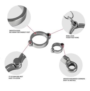 Anelli per uccelli in acciaio inossidabile accessori per attività di addestramento per mosca all'aperto per animali domestici uccelli al guinzaglio anelli per piedi anello per piccioni volanti - Product Image 2