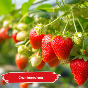 Compressa multivitaminica multivitaminica multivitaminica della migliore marca Gmp per le donne - Product Image 4