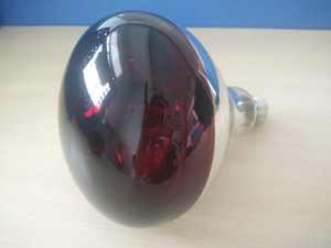 Lampu pemanas inframerah 220v baru & bekas, lampu pemanas untuk pertanian hewan - Product Image 3
