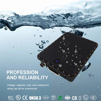 Batterie rechargeable personnalisée PS-4840A 58,8V 40AH Flyer E-foil pour planche de surf électrique avec étanchéité IP68