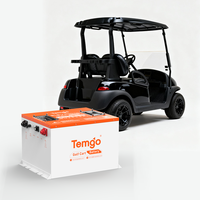 Batterie LiFePO4 TEMGO 48V 100Ah de qualité commerciale pour voiturette de golf, avec BMS 300A, boîtier métallique, chargeur APP LCD pour flottes