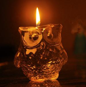 Made Clear Hand Blown Cute Heat Resistant <strong>Owl</strong> Shape Glass Oil Burner <strong>Candle</strong> <strong>Holder</strong> Glass Handicrafts for Home Decoration - Product Image 3