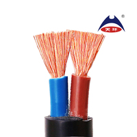 ZR-RVV fleksibel kabel, 2 inti 0.75mm 1mm 1.5mm 2.5mm kabel fleksibel tahan api inti tembaga PVC terisolasi PVC untuk daya Jalan