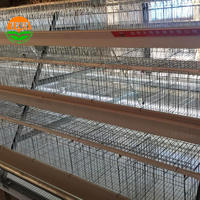 Un type 96/120/128/160 oiseaux cage de couche de poulet équipement automatisé d'alimentation des animaux pour les poules pondeuses