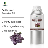 Minyak Esensial Daun Perilla 100% Alami, Distilasi Uap, Grade Kosmetik untuk Aromaterapi, Perawatan Kulit, Bahan Baku Parfum, Grosir OEM