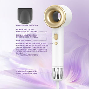 Secador de Pelo Profesional de Alta Velocidad con Motor BLDC de 1600W y 110000 RPM, Función de Iones Negativos, Precio de Fábrica - Product Image 2