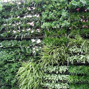 Jardinera Vertical para Hogar y Jardín, Macetas Decorativas para Pared Verde, Macetas de Plástico con Autorriego, Ecológicas, Biodegradables, con Drenaje - Product Image 4