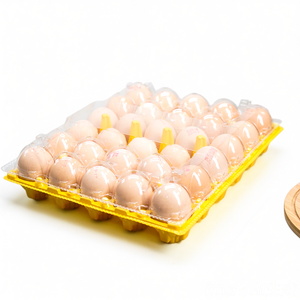 Vassoio per Uova in CPET a 30 Fori, Grande, Durevole, Giallo, Materiale Ecologico - Product Image 2