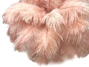 Plumes d'autruche en gros pour décorations de mariage - Product Image 5