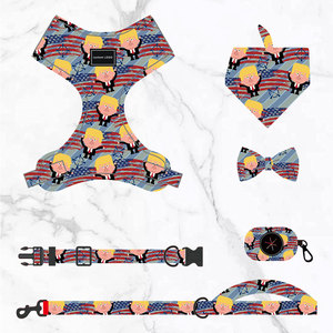 Collier de luxe pour <span class=keywords><strong>chien</strong></span> avec étiquette privée, ensemble de nœuds papillon, harnais en plastique réfléchissant pour chiot, laisse, accessoires pour animaux de compagnie de qualité supérieure pour votre fourrure - Product Image 2