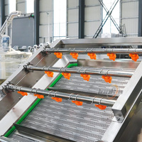 800kg/uur Fruit- en groentewasmachine, wassysteem voor wortelen, passievruchten, avocado's, citroenen, appels.