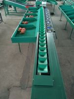 6-traps fruit sorteermachine kiwi sorteerder sinaasappel rode pitaya drakenvrucht sorteermachine
