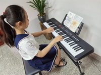 BD Music Electronic Piano Synthesizer Teclado Musical Electronic Keyboard Semi-Professional 61 Keys for Sale