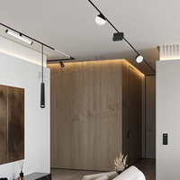 Système d'éclairage sur rail intelligent DC48V pour profilés de plafond intérieurs Moldavans, éclairage sur rail magnétique LED ultra-mince de 16 mm
