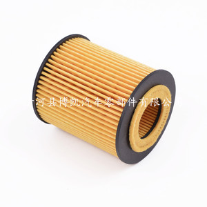 ไส้กรองน้ำมันสำหรับ M6ที่ดีที่สุด2.3L B70 B-006ชิ้นส่วน S0503PE Ruiyi - Product Image 1