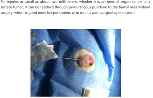 पशु (पालतू) ट्यूमर उपचार के लिए इलेक्ट्रिक क्रायोर्गेरी प्रणाली प्रमाणित कक्षा 2 1 वर्ष की वारंटी - Product Image 5