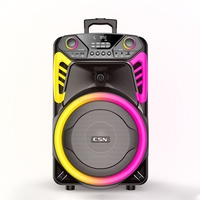 Haut-parleur trolley 15 pouces CSN-WS15, modèle exclusif, 50W RMS, avec anneau lumineux RGB, pour karaoké extérieur, OEM ODM