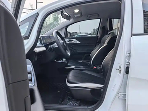 Geely Geometry <span class=keywords><strong>E</strong></span> 2022 SUV Elettrico 320KM, Direttamente dal Produttore, Ottime Condizioni, Nessun Danno, Stato Impeccabile - Product Image 6