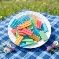 Chewing-gum sans sucre au xylitol en gros, saveurs de fruits assorties, emballé individuellement dans une pochette, OEM personnalisé