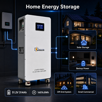 Batterie LiFePO4 51,2 V 314 Ah pour stockage d'énergie domestique en appartement, avec courant maximal de 200 A, pour les acheteurs de projets et l'approvisionnement des installateurs