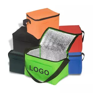 Bolsa térmica aislante de hielo, logotipo impreso personalizado multicolor, ecológico, no tejida